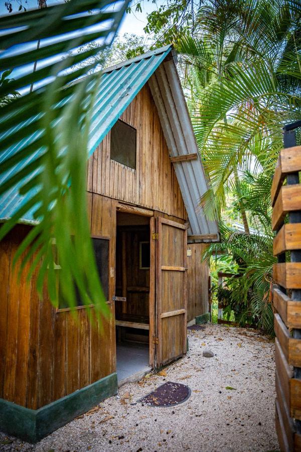 Pura Vida Mini Hostel Santa Teresa Playa Santa Teresa  Exteriör bild