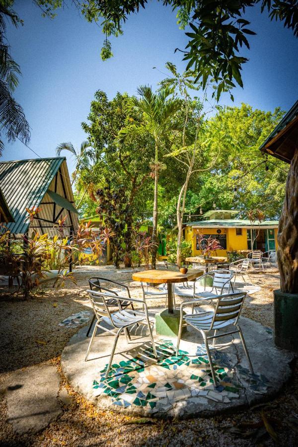 Pura Vida Mini Hostel Santa Teresa Playa Santa Teresa  Exteriör bild