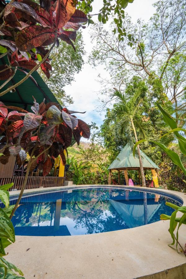Pura Vida Mini Hostel Santa Teresa Playa Santa Teresa  Exteriör bild