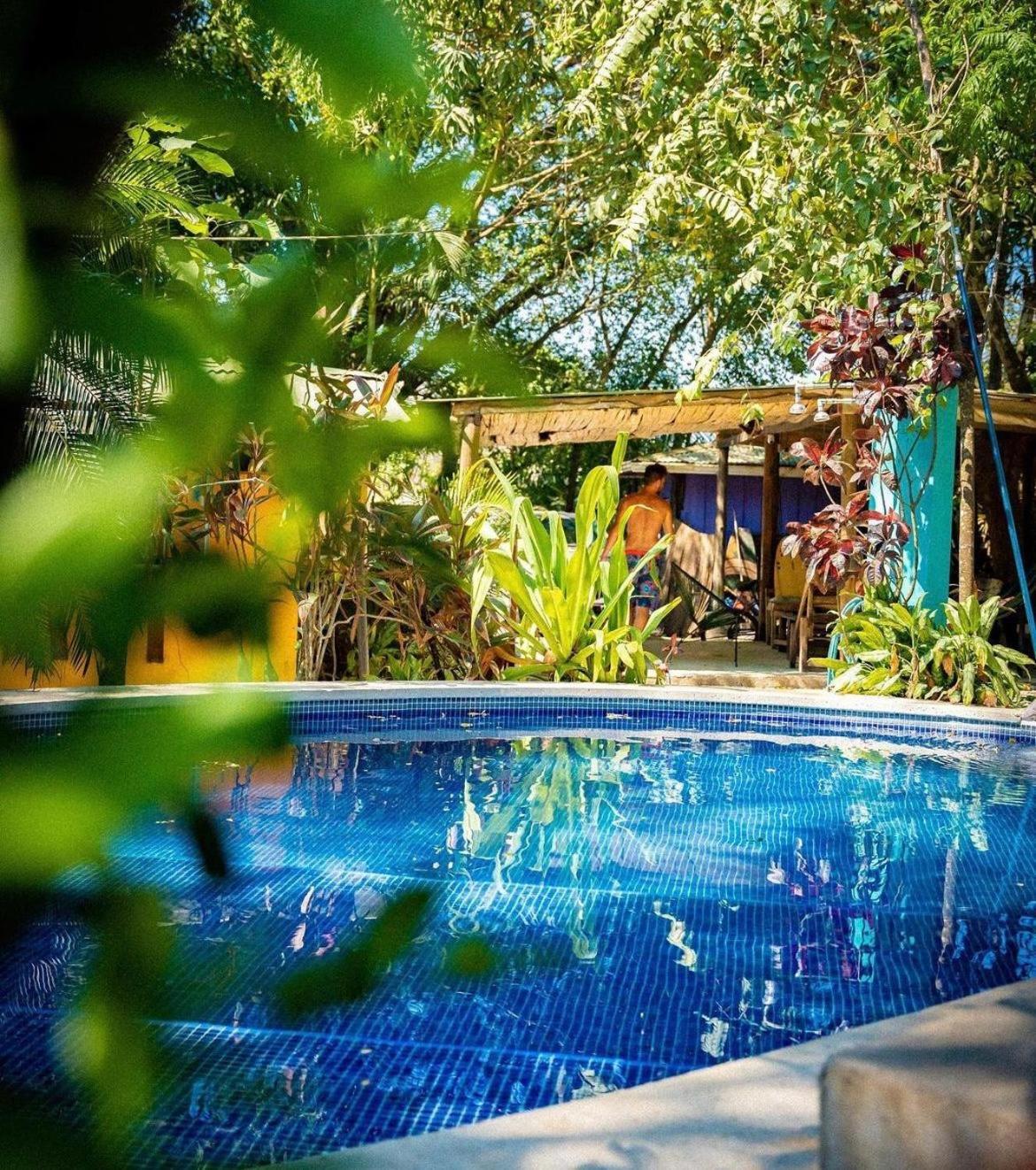 Pura Vida Mini Hostel Santa Teresa Playa Santa Teresa  Exteriör bild